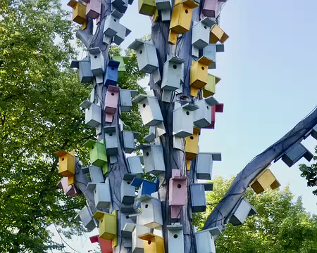 On aime les oiseaux à Riga !
