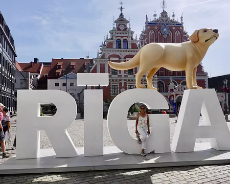 Hommage au film Flow, réalisé par le Letton Gints Zilbadolis.
