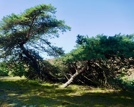 Une tempête serait-elle passée par là ?