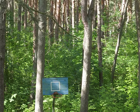 Qui veut jouer au basket avec moi ?