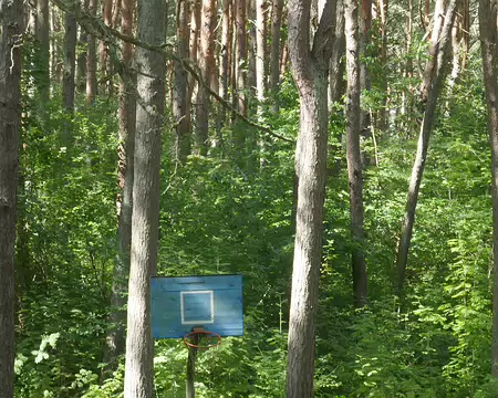 Qui veut jouer au basket avec moi ?