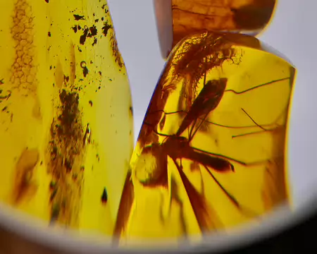 P1110336