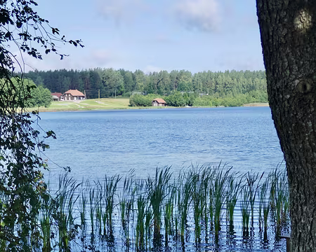 Lac Gavya dans le parc d'Aukstaitija.