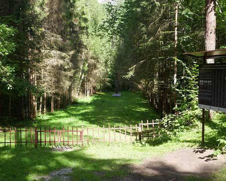 Forêt de Varniku. Lieu du massacre de 1446 juifs le 30/09/41.