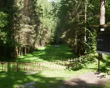 Forêt de Varniku. Lieu du massacre de 1446 juifs le 30/09/41.