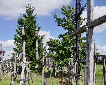 Siauilai, la Colline des Croix (voir explication dans la FT). n