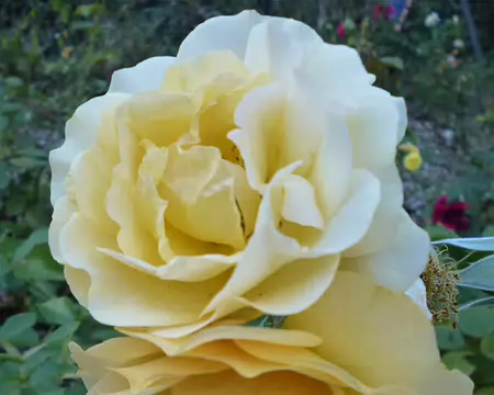 P1210727