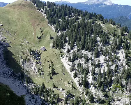 2025-08-25 12-23-28