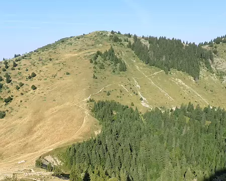 2025-08-26 10-07-06