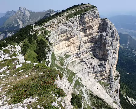 2025-08-26 12-43-01