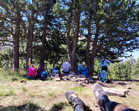 20250805_114407 ... c'est la pause déjeuner près du ...