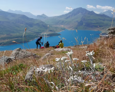 2025-08-17 15-40-56 retour dans l'herbe