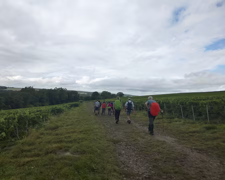 P1210744 Vignoble champenois aux confins de l'Ile-de-France