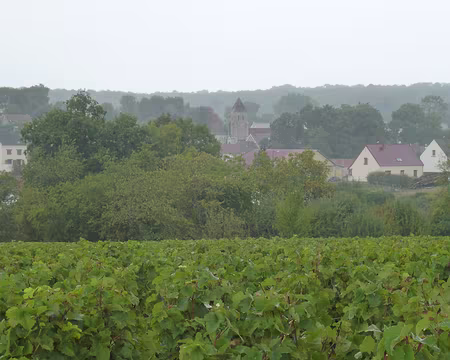 P1210751 Bézu-le-Guéry, village dans l'appellation Champagne de l'Aisne.
