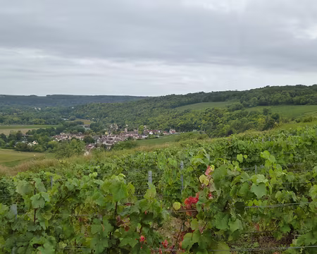 P1210753 Nanteuil et ses coteaux