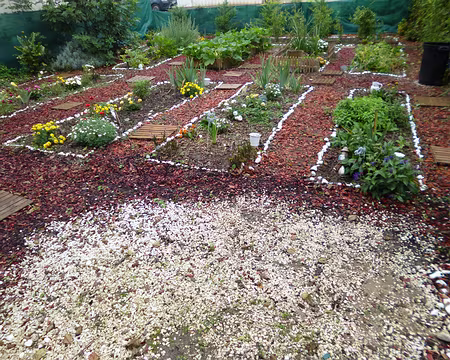 P1210760 Merci à Marylise pour cette jolie randonnée vallonnée