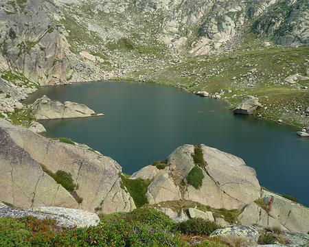 P1360614 Vraiment beau cet 