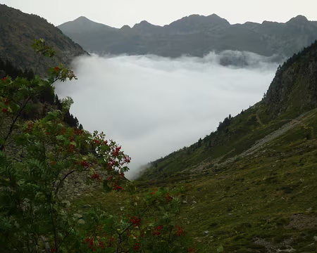 P1360659 Spécialité ariégeoise : la mer de nuages