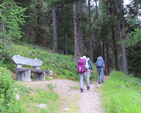20250803_160304_IMG_7969 Preès de Chandolin, la forêt d'altitude.