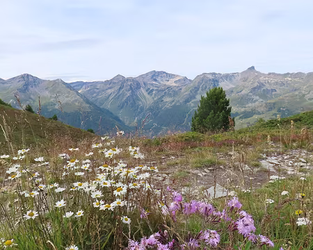 20250804_110537_IMG_8023