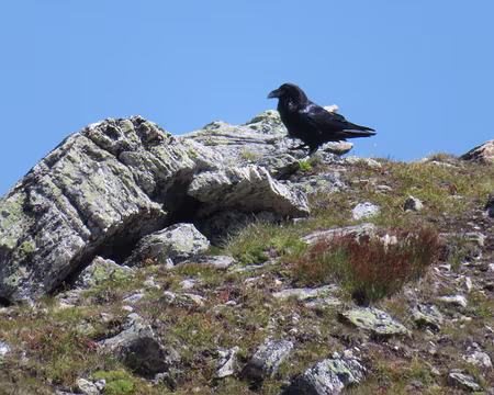 20250805_132039_IMG_8120 Au Roc d'Orzival.