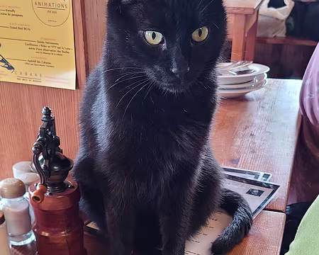 20250805_171043 Douce chaleur à la cabane des Becs de Bosson.