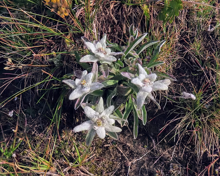 20250806_083852_IMG_8175