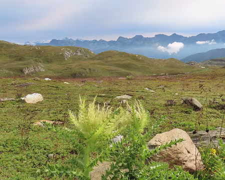 20250806_093506_IMG_8190