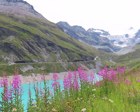 20250806_121633_IMG_8204