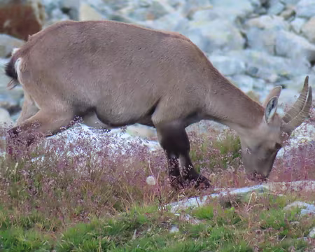 20250807_075749_IMG_8233