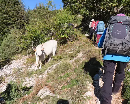 20251003091856_IMG_8826