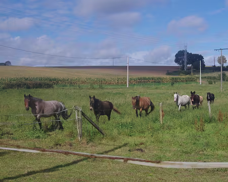 IMGP6127 Entre Naours et Wargnies