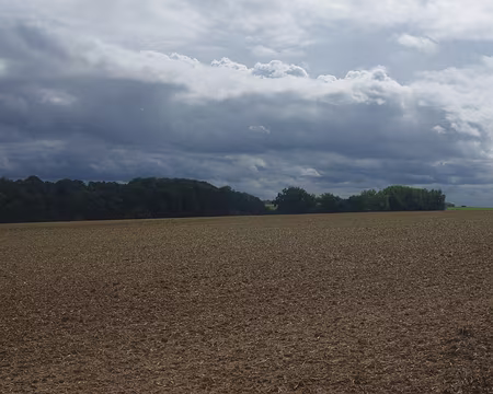 IMGP6144 Le temps se gâte…