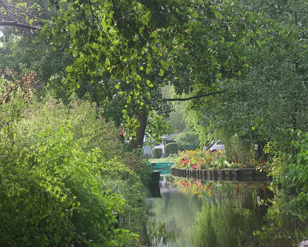 IMGP6244 Hortillonnages d’Amiens (visite en barque)
