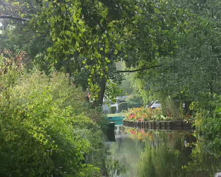 IMGP6244 Hortillonnages d’Amiens (visite en barque)