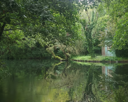 IMGP6290 Hortillonnages d’Amiens (visite en barque)