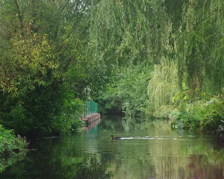 IMGP6311 Hortillonnages d’Amiens (visite en barque)