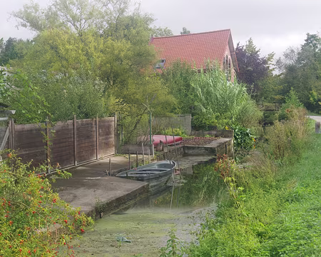 IMGP6374 Randonnée le long de la Somme. Nous longeons les hortillonnages