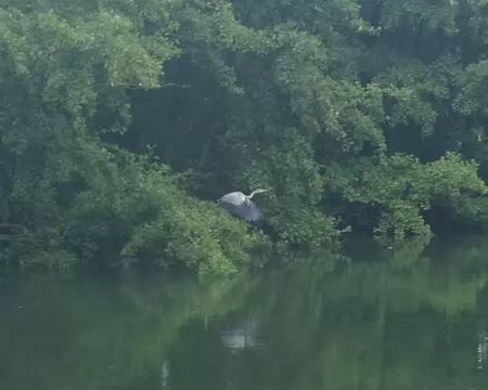 IMGP6404 Randonnée le long de la Somme. Là j’ai fait ce que j’ai pu… (j’avais eu la flemme d’emporter mon zoom)