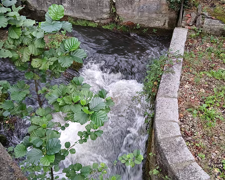 003 Le Sausseron, affluent de l’Oise, au moulin d’Orgivaux