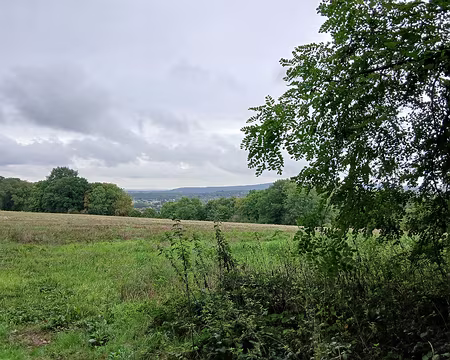008 Vue sur la vallée de l’Oise et la ville de Parmain