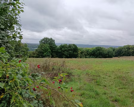 010 Vue sur la vallée de l’Oise et la forêt de Montmorency