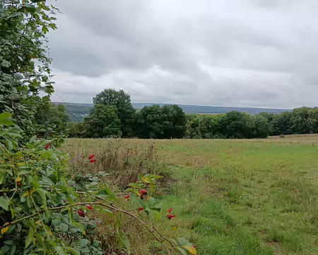 010 Vue sur la vallée de l’Oise et la forêt de Montmorency