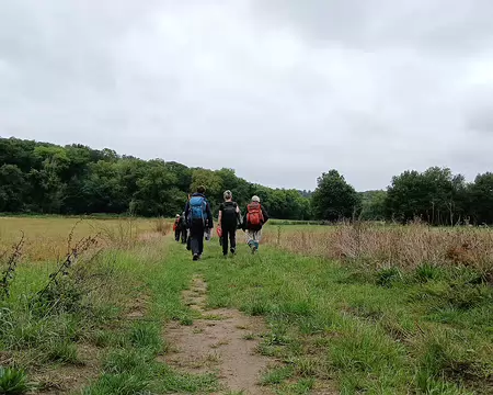 019 Sur le chemin