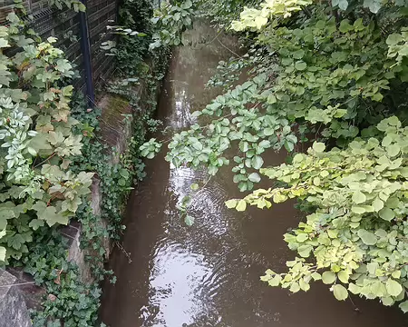 021 Le Sausseron vu de la rue Dorée à Valmondois