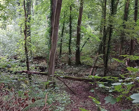 030 Le ravin des Vallées