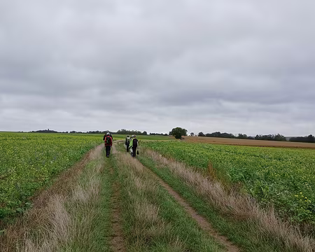 047 Sur les hauteurs d’Auvers en direction de Valmondois