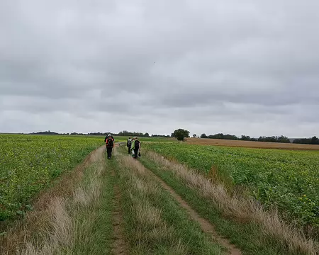 047 Sur les hauteurs d’Auvers en direction de Valmondois