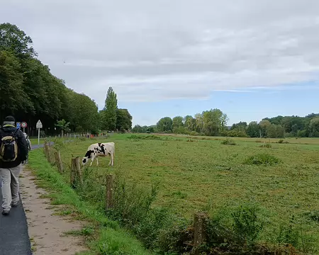 002 La coulée fruitière