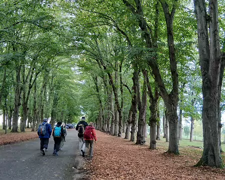 005 Une allée de tilleuls mène au château de Coubertin